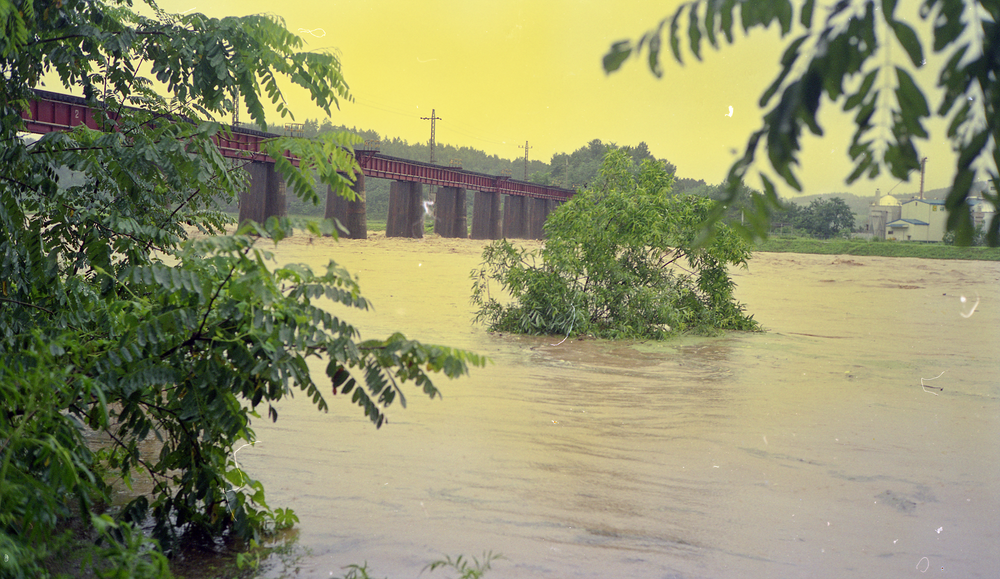 다운로드 불가 이미지