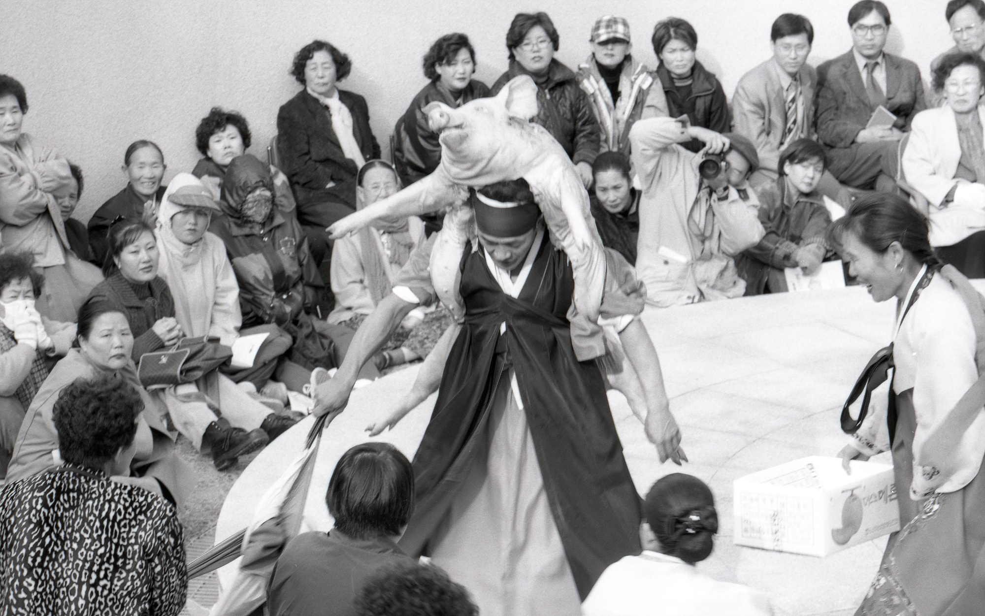 다운로드 불가 이미지