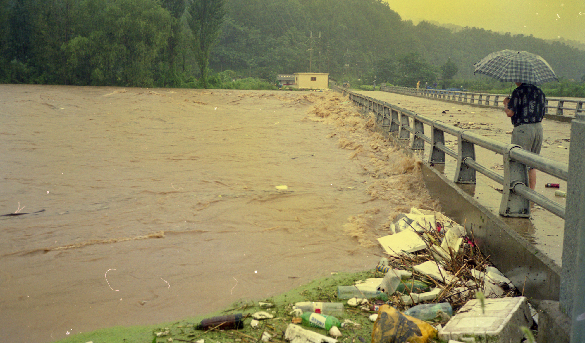 다운로드 불가 이미지