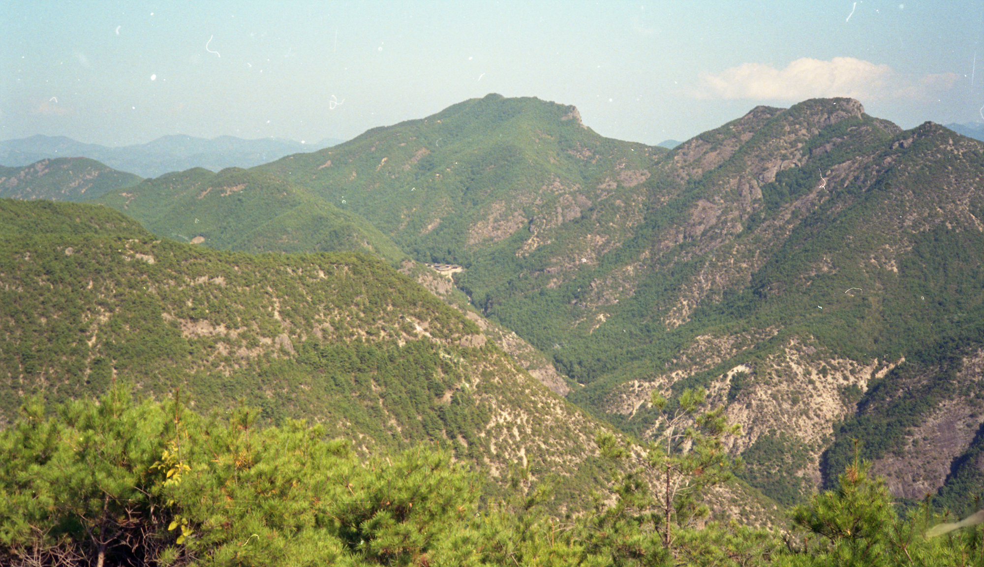 다운로드 불가 이미지