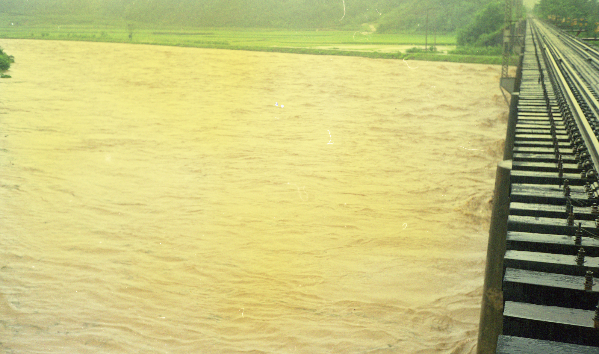 다운로드 불가 이미지