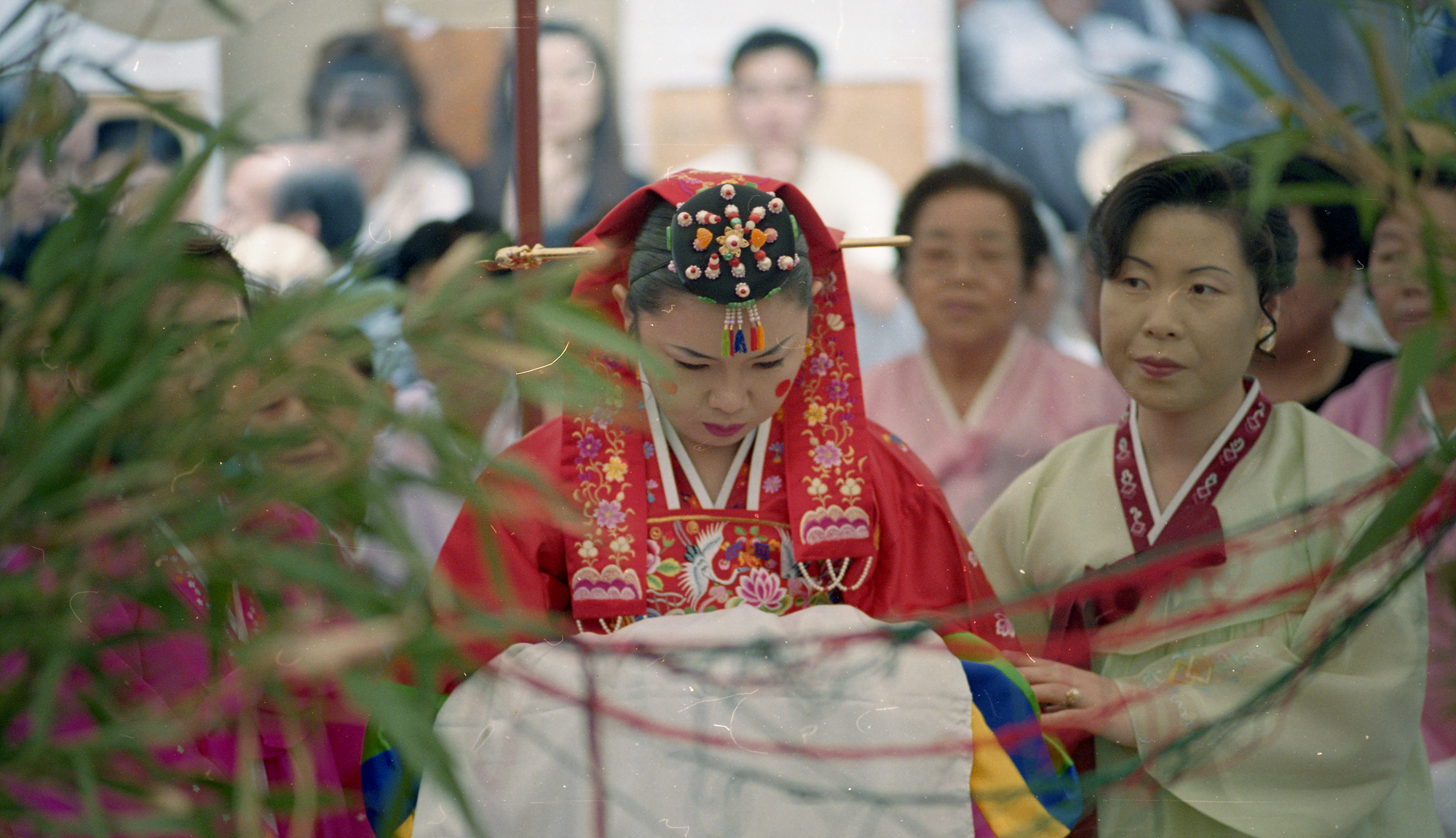 다운로드 불가 이미지