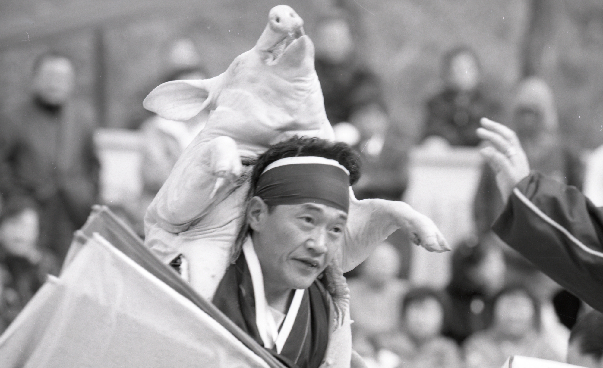 다운로드 불가 이미지