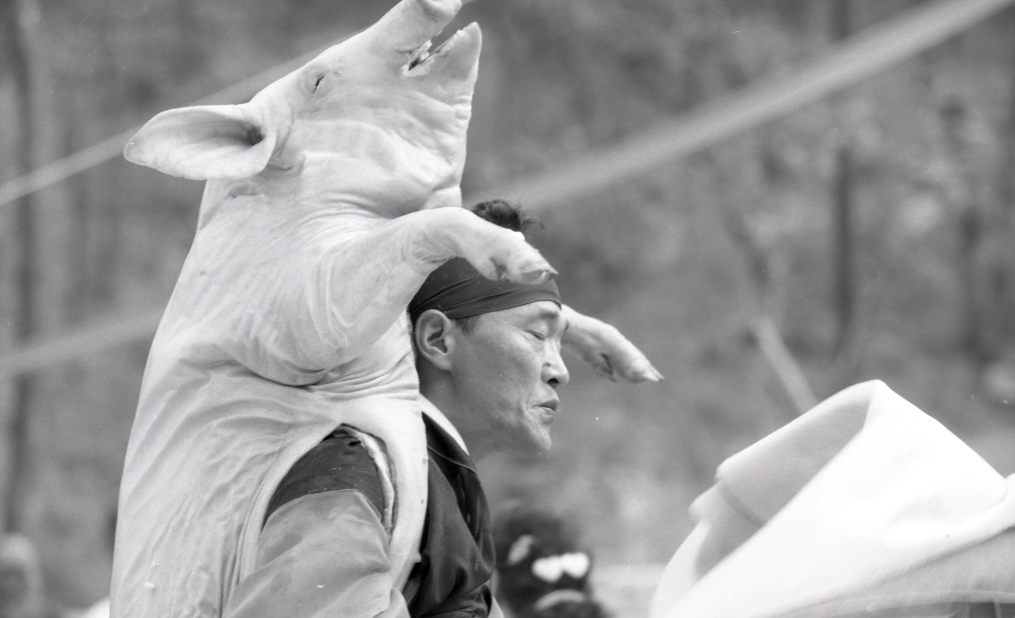 다운로드 불가 이미지