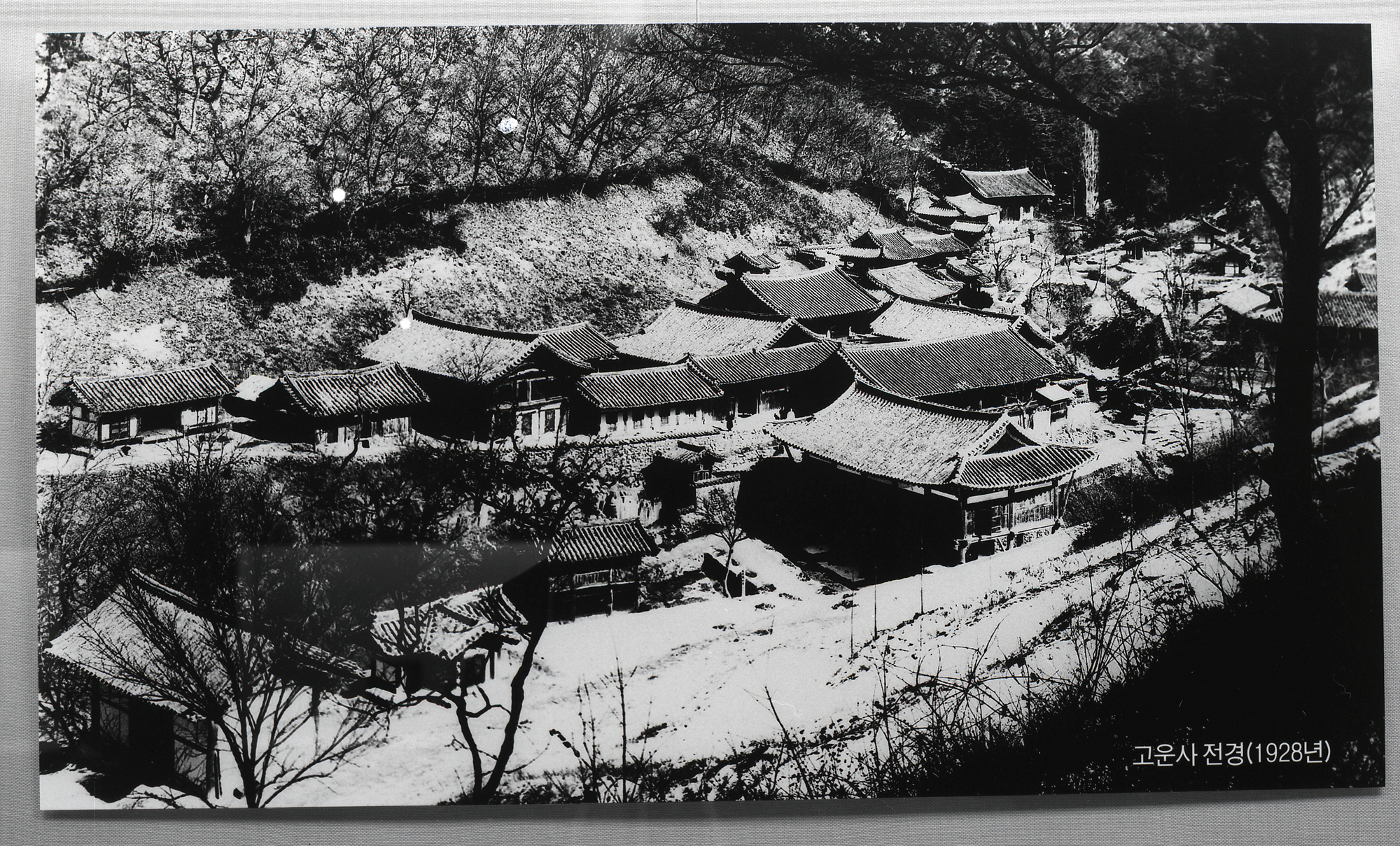 다운로드 불가 이미지