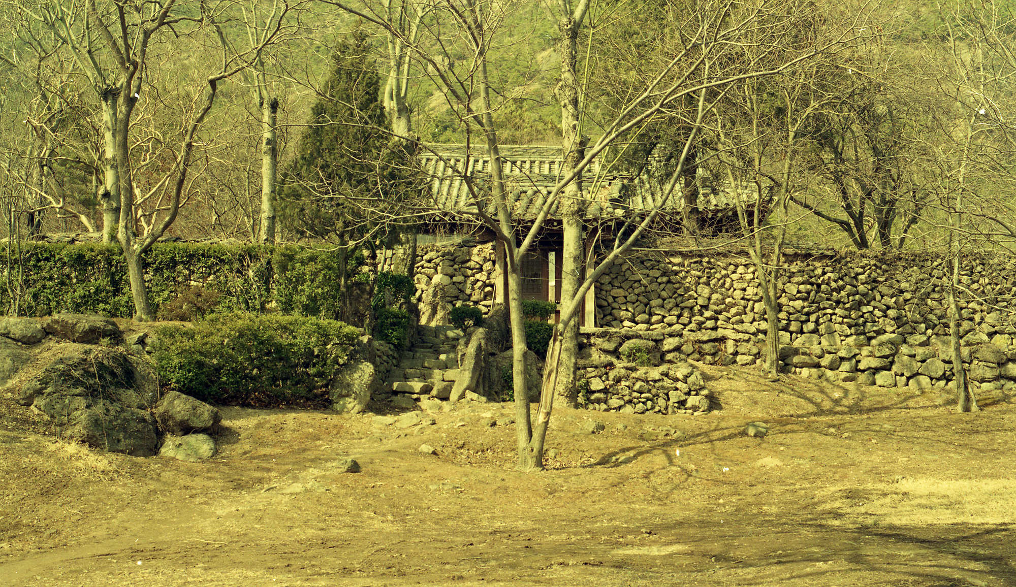 다운로드 불가 이미지