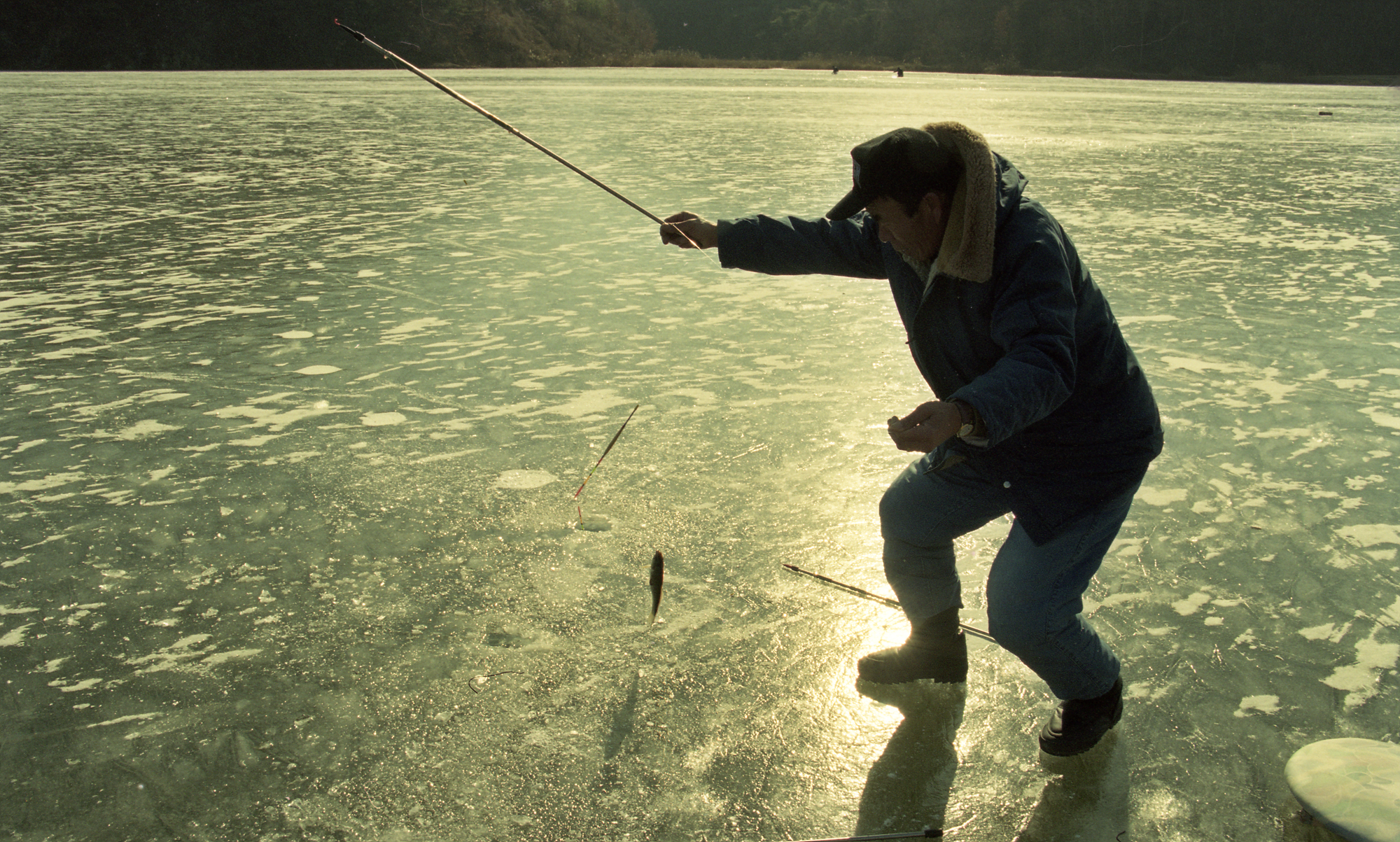 다운로드 불가 이미지