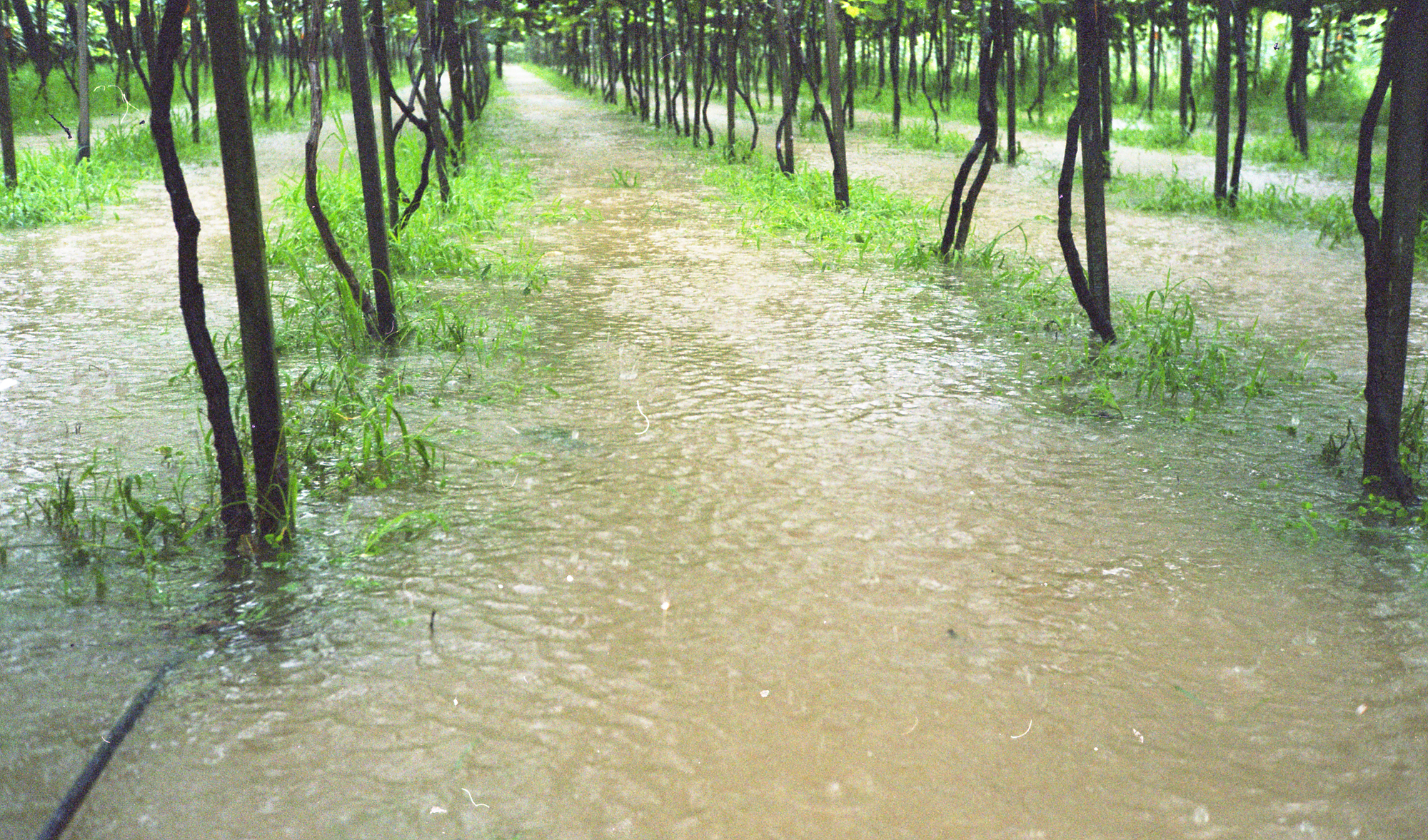 다운로드 불가 이미지