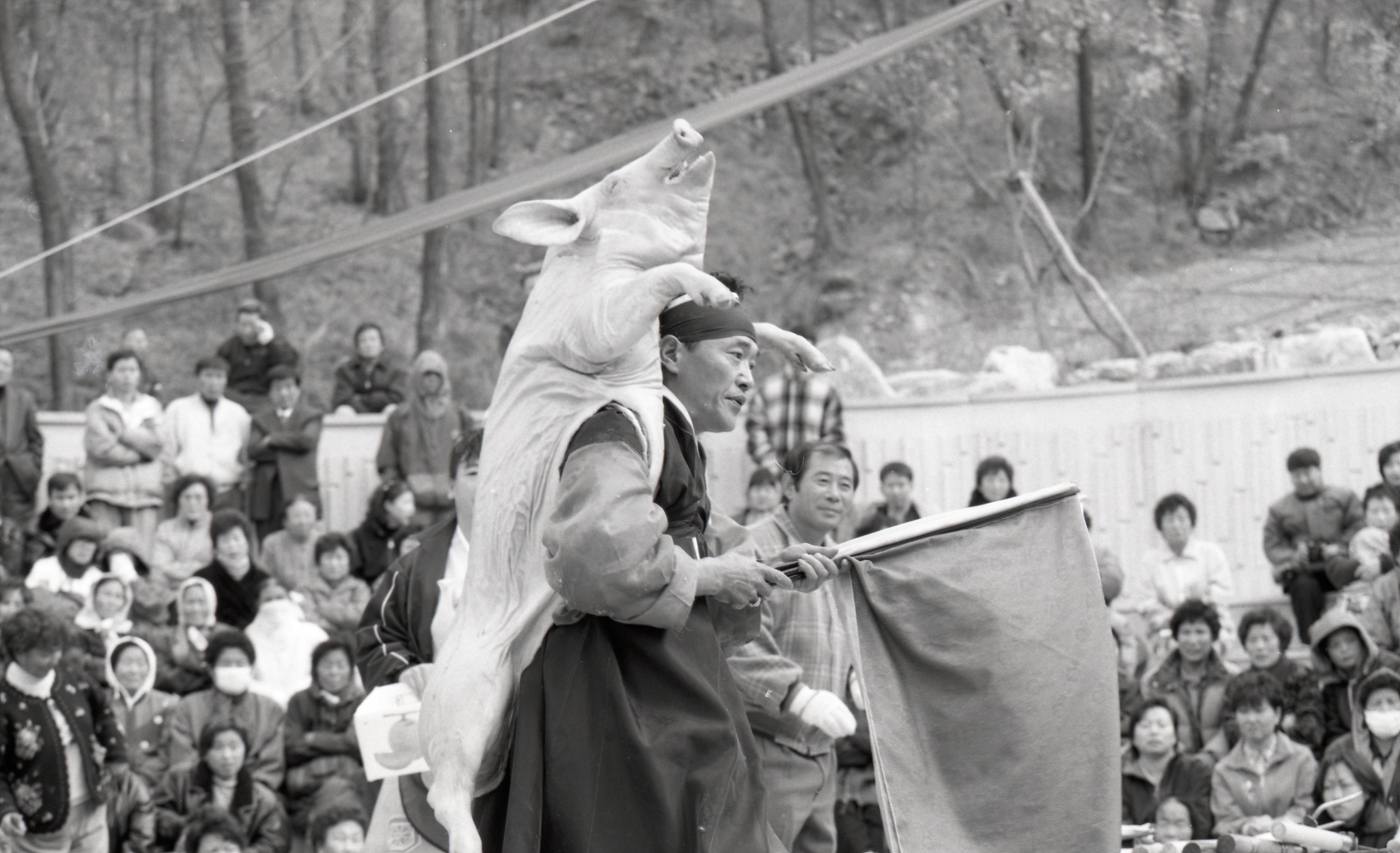 다운로드 불가 이미지