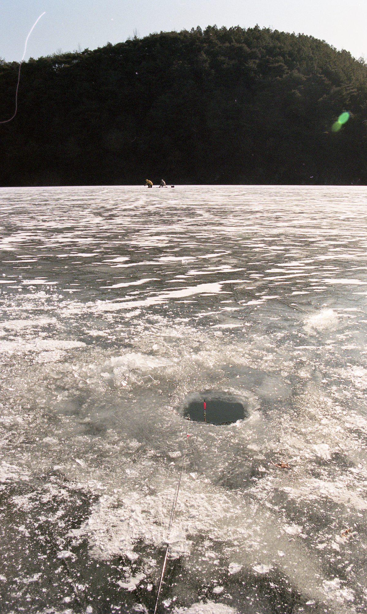 다운로드 불가 이미지