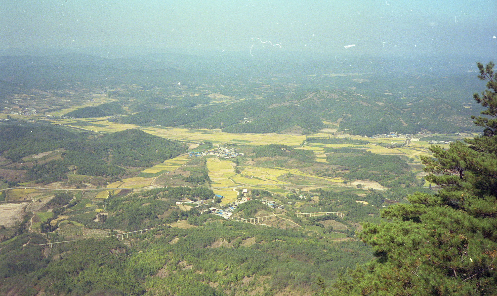 다운로드 불가 이미지