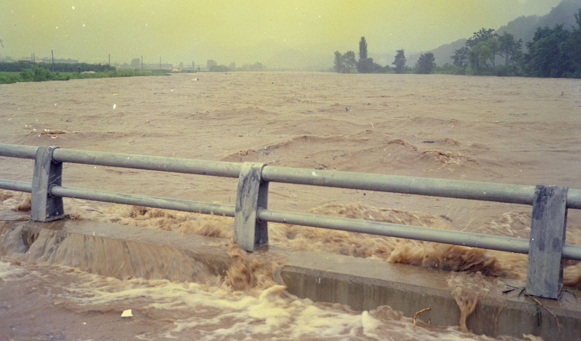 다운로드 불가 이미지