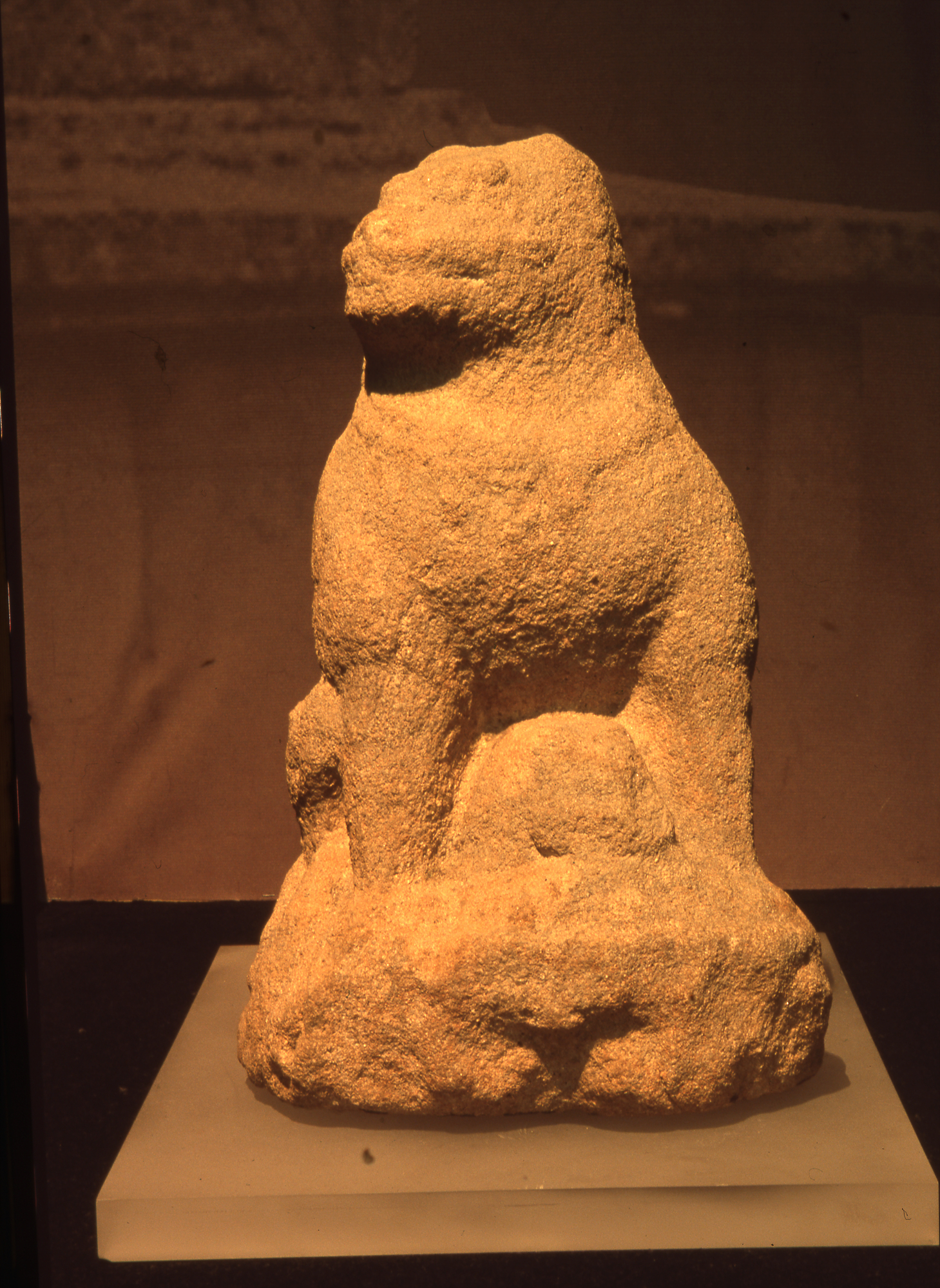 다운로드 불가 이미지