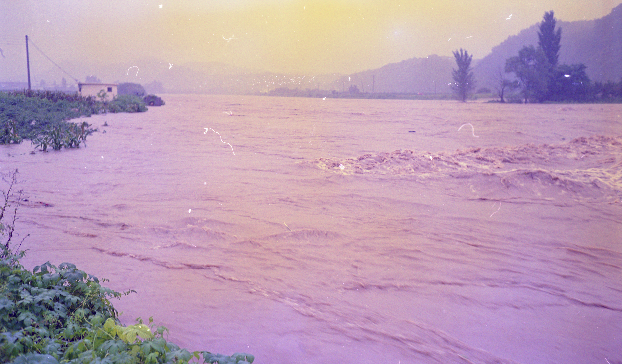 다운로드 불가 이미지