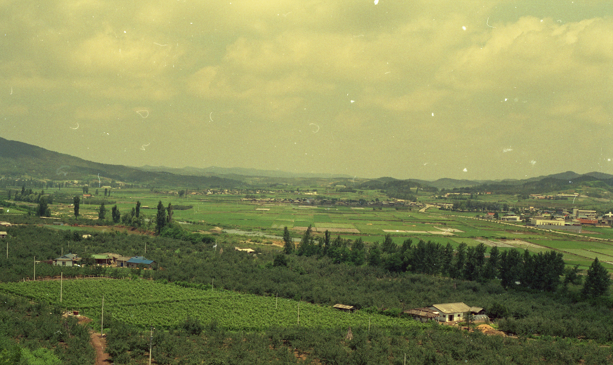 다운로드 불가 이미지