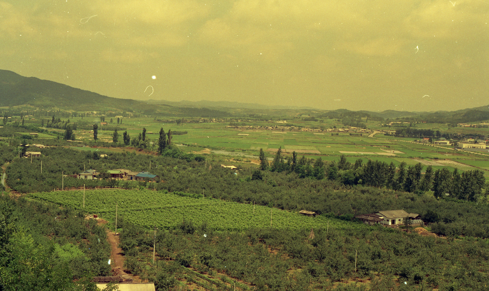 다운로드 불가 이미지