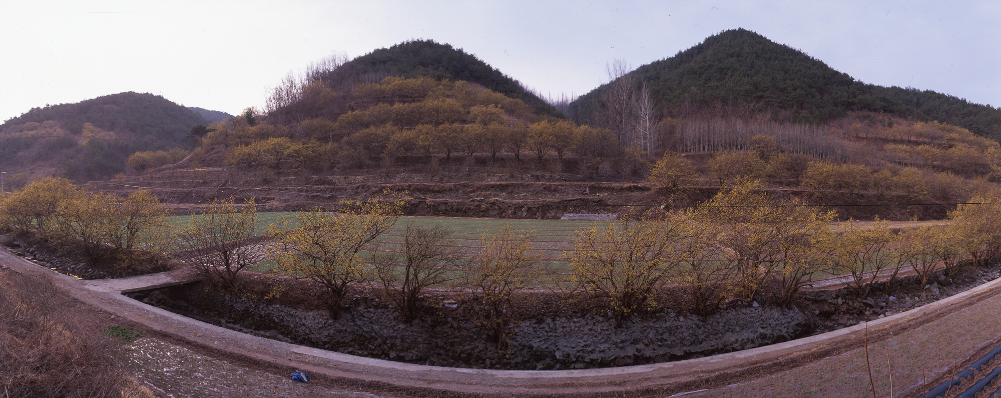 다운로드 불가 이미지