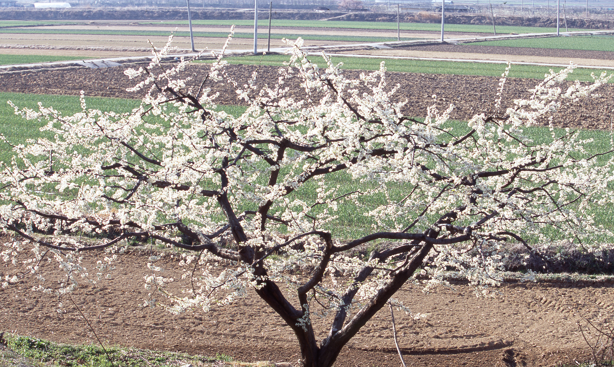 다운로드 불가 이미지