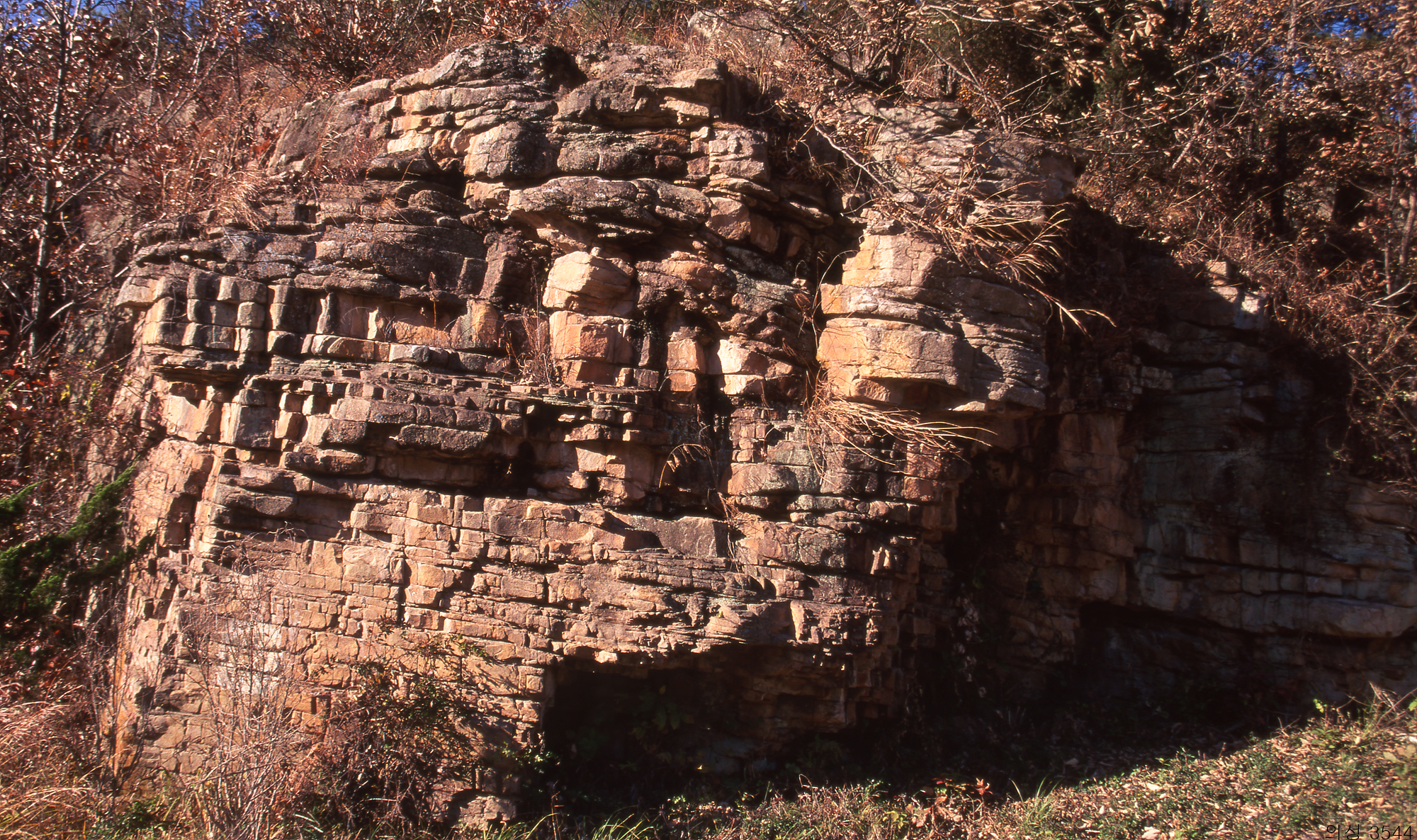 다운로드 불가 이미지