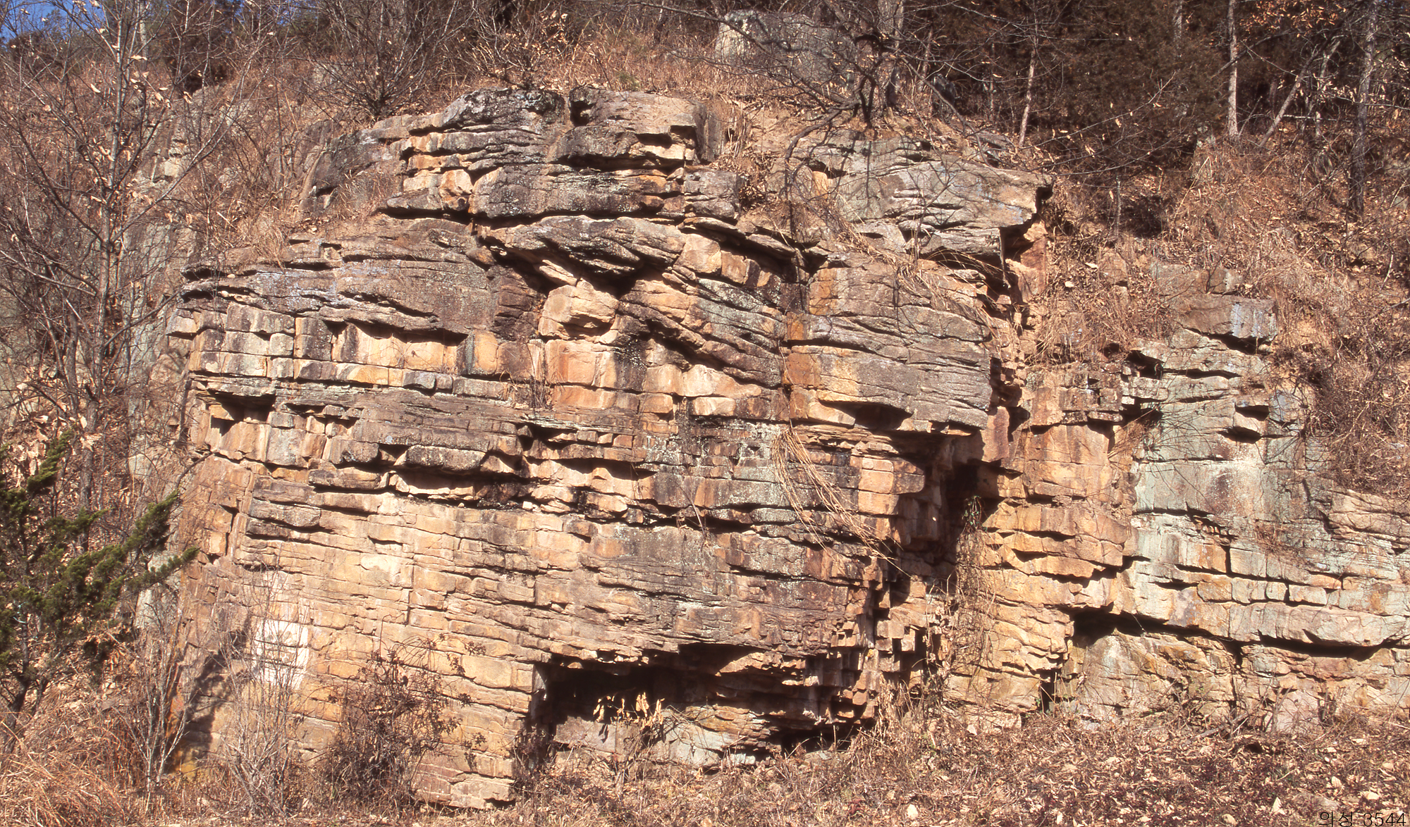 다운로드 불가 이미지