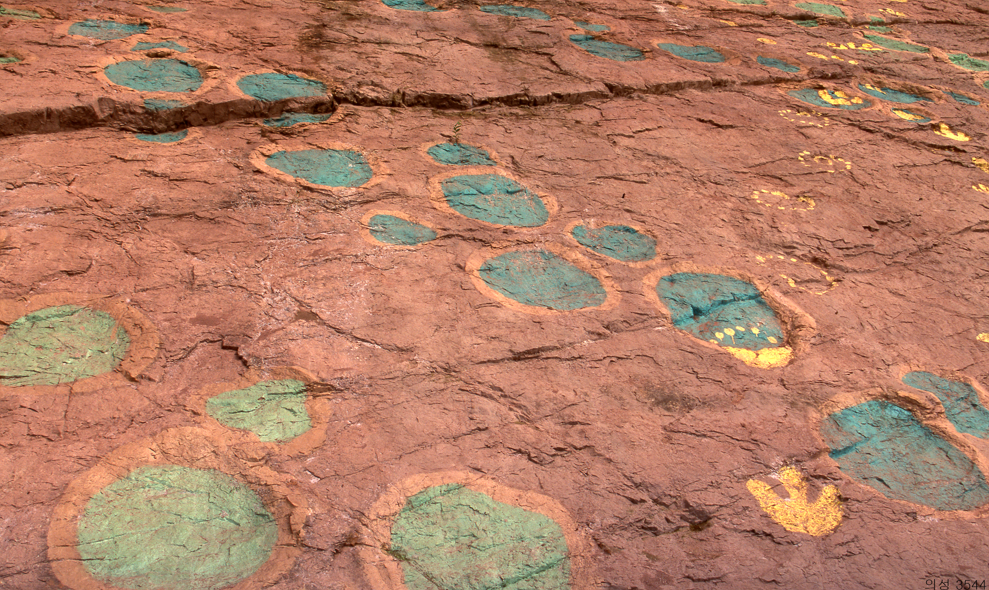 다운로드 불가 이미지