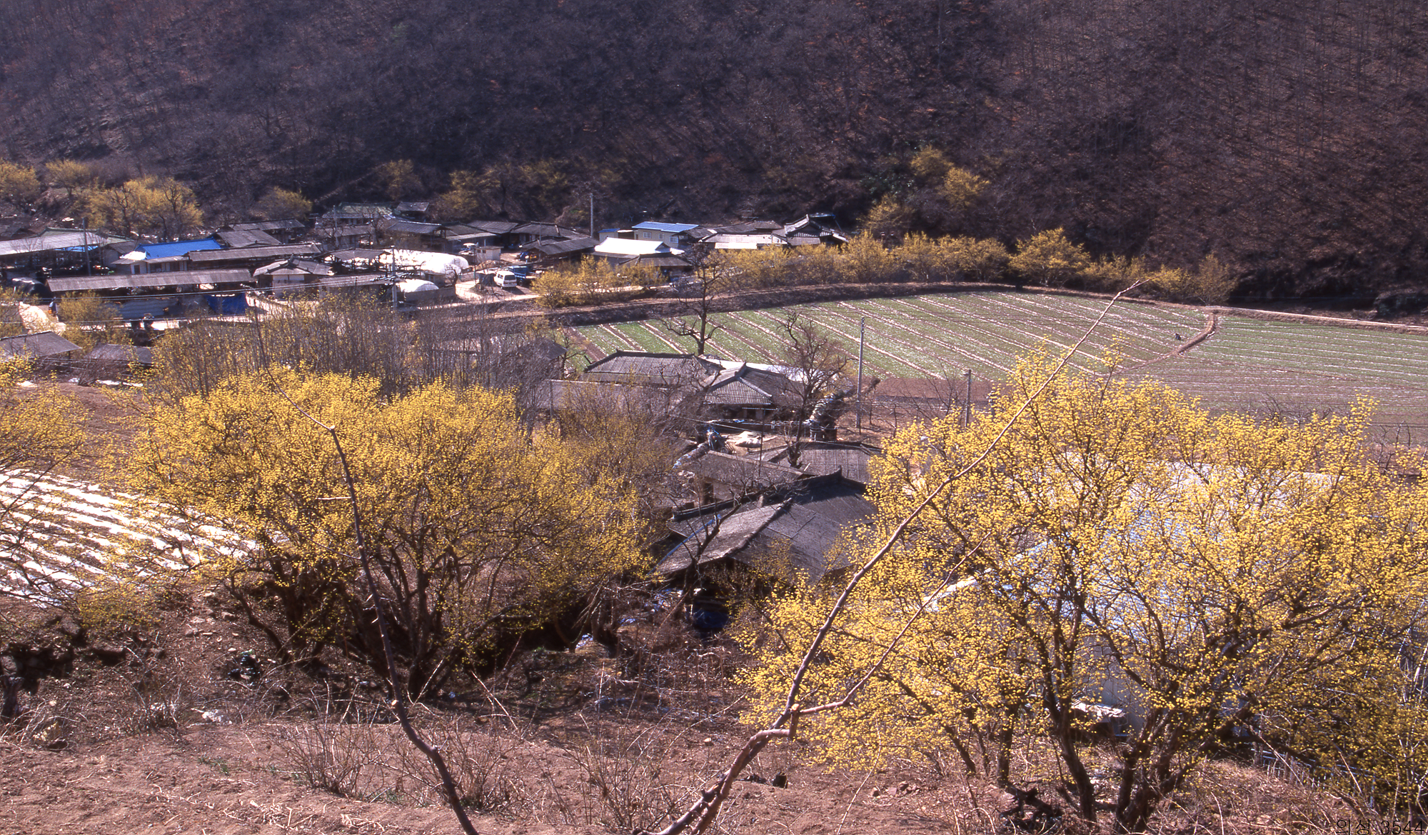 다운로드 불가 이미지