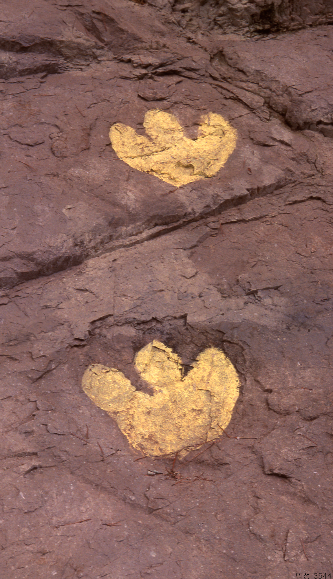 다운로드 불가 이미지