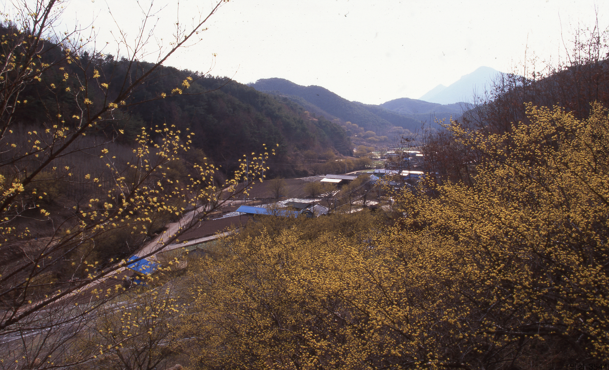 다운로드 불가 이미지