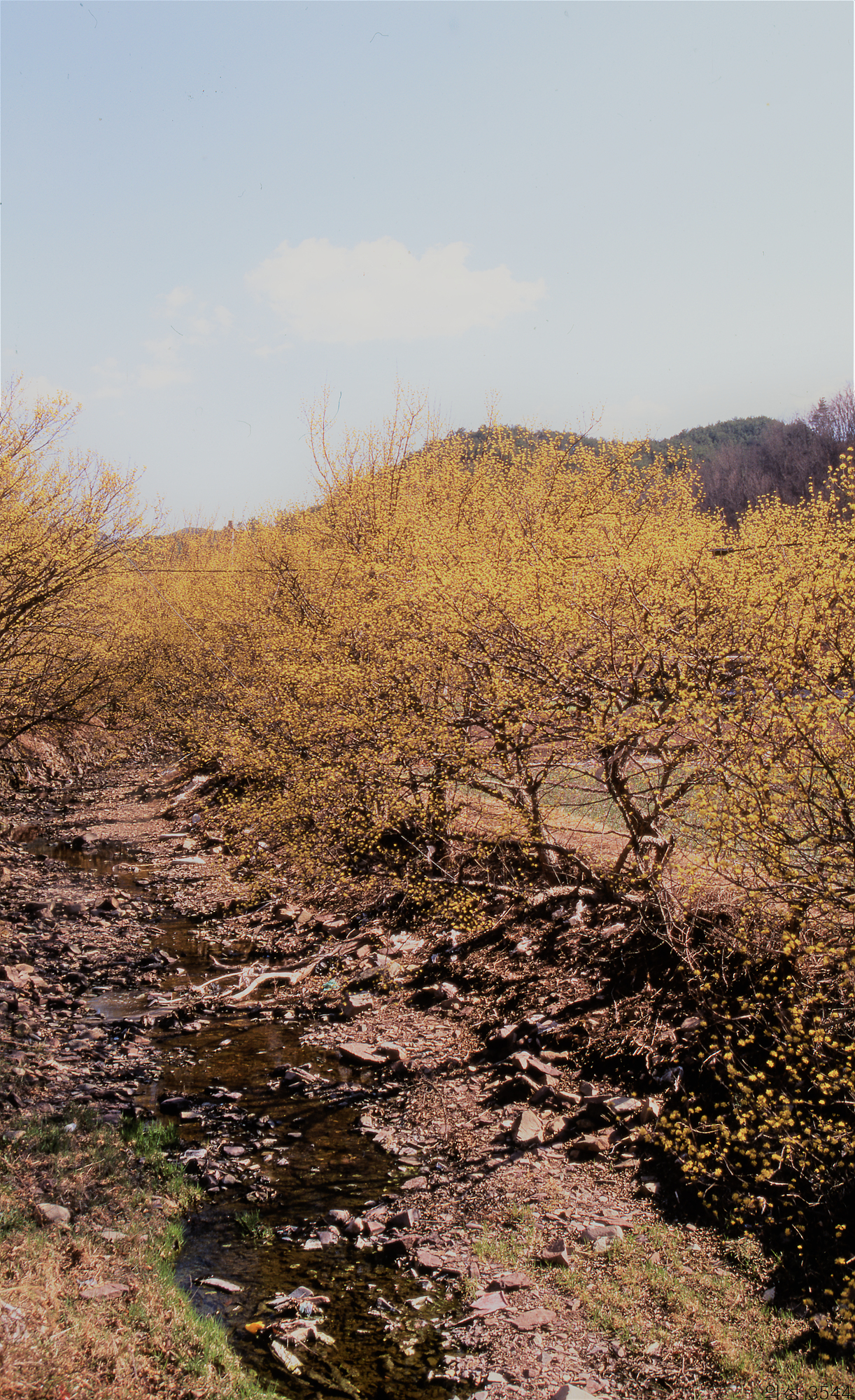 다운로드 불가 이미지