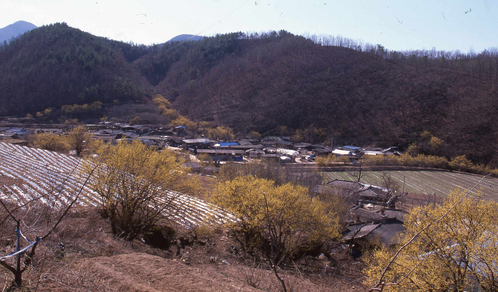 다운로드 불가 이미지