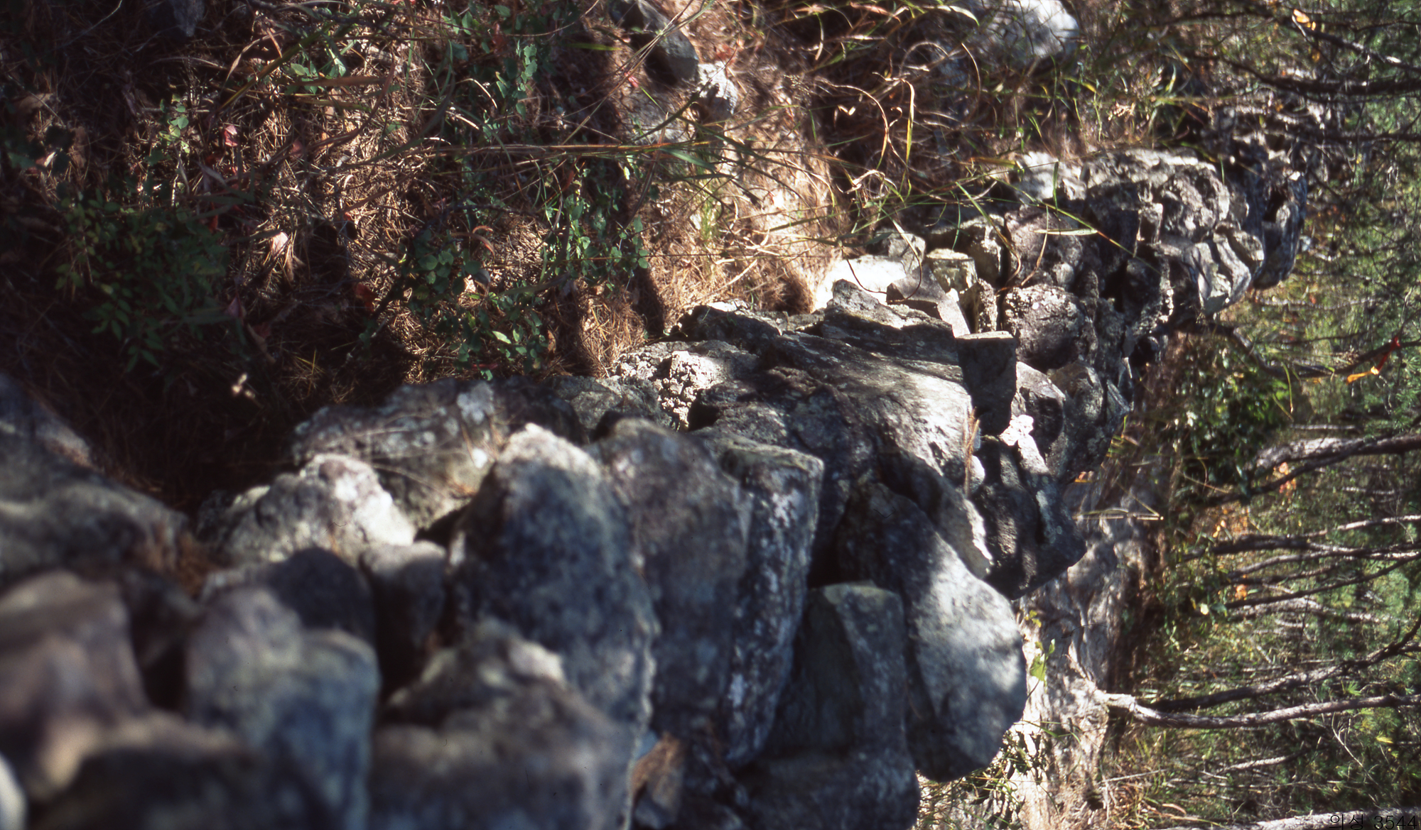 다운로드 불가 이미지