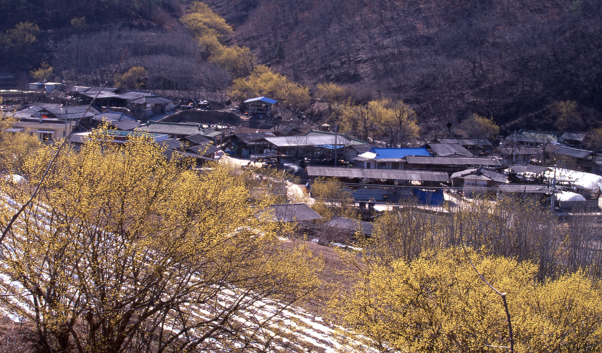 다운로드 불가 이미지