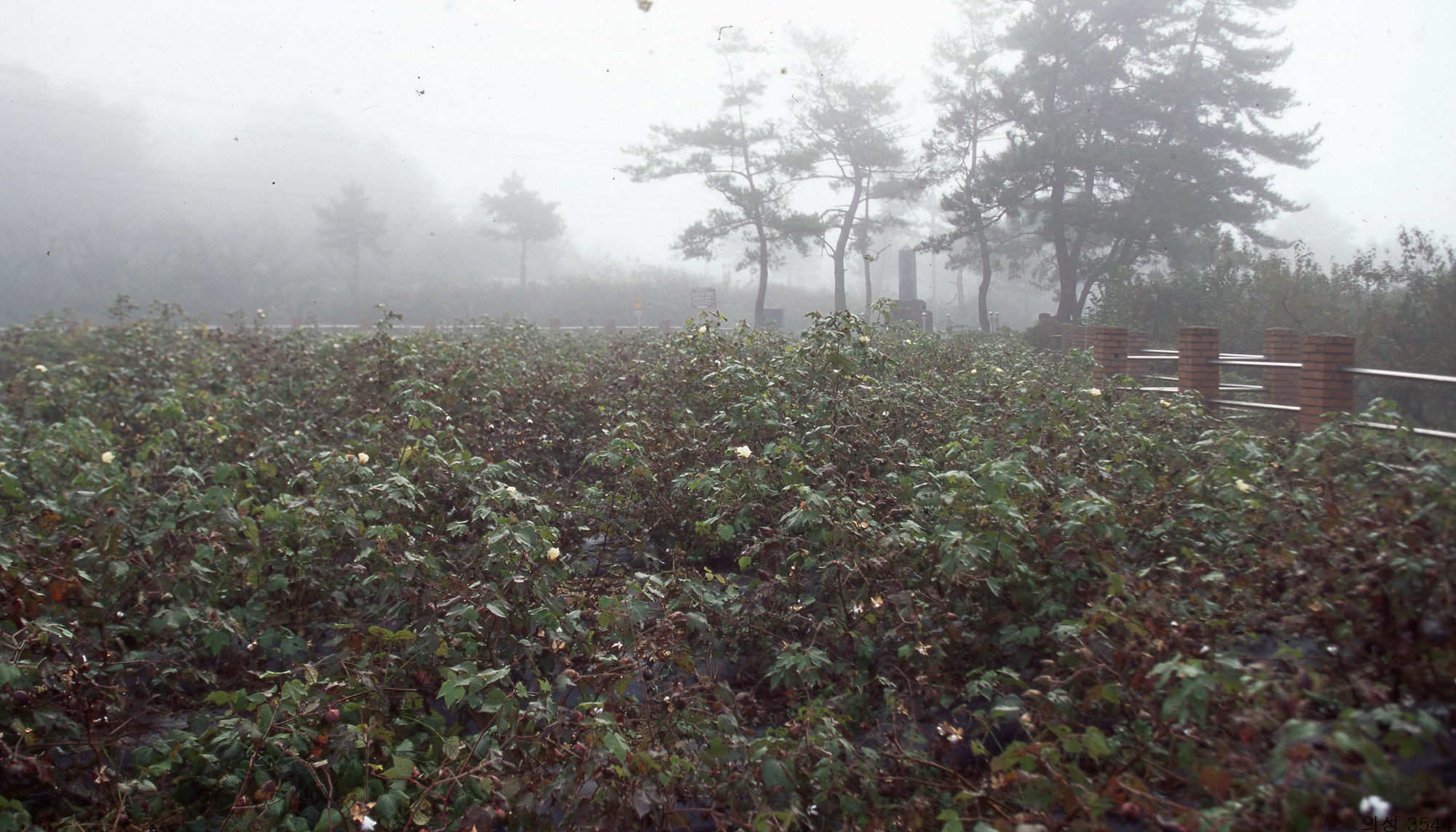 다운로드 불가 이미지