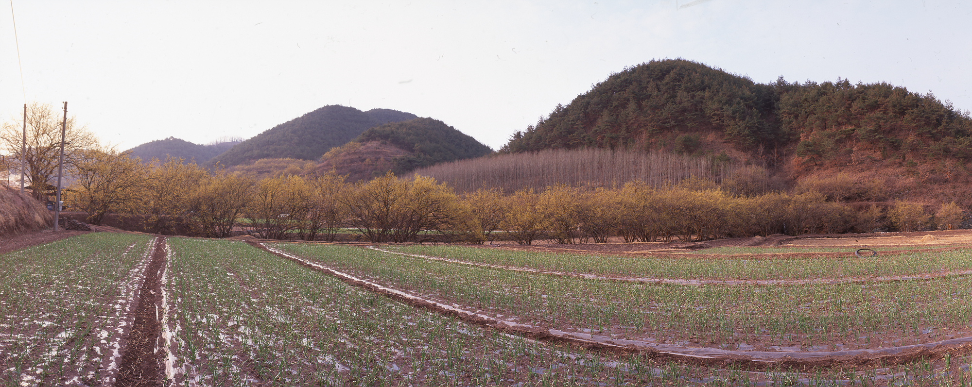 다운로드 불가 이미지