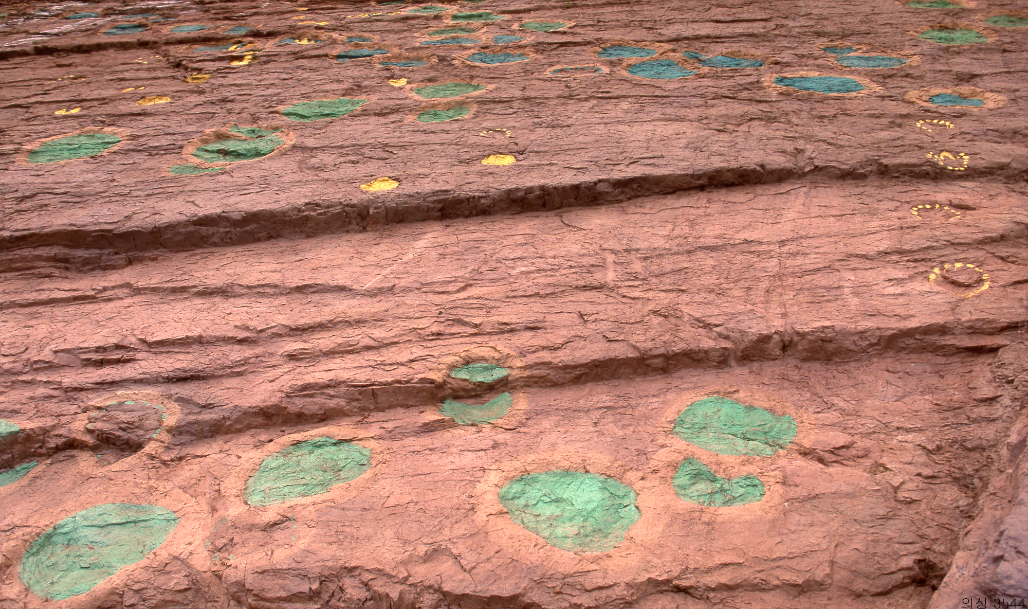 다운로드 불가 이미지