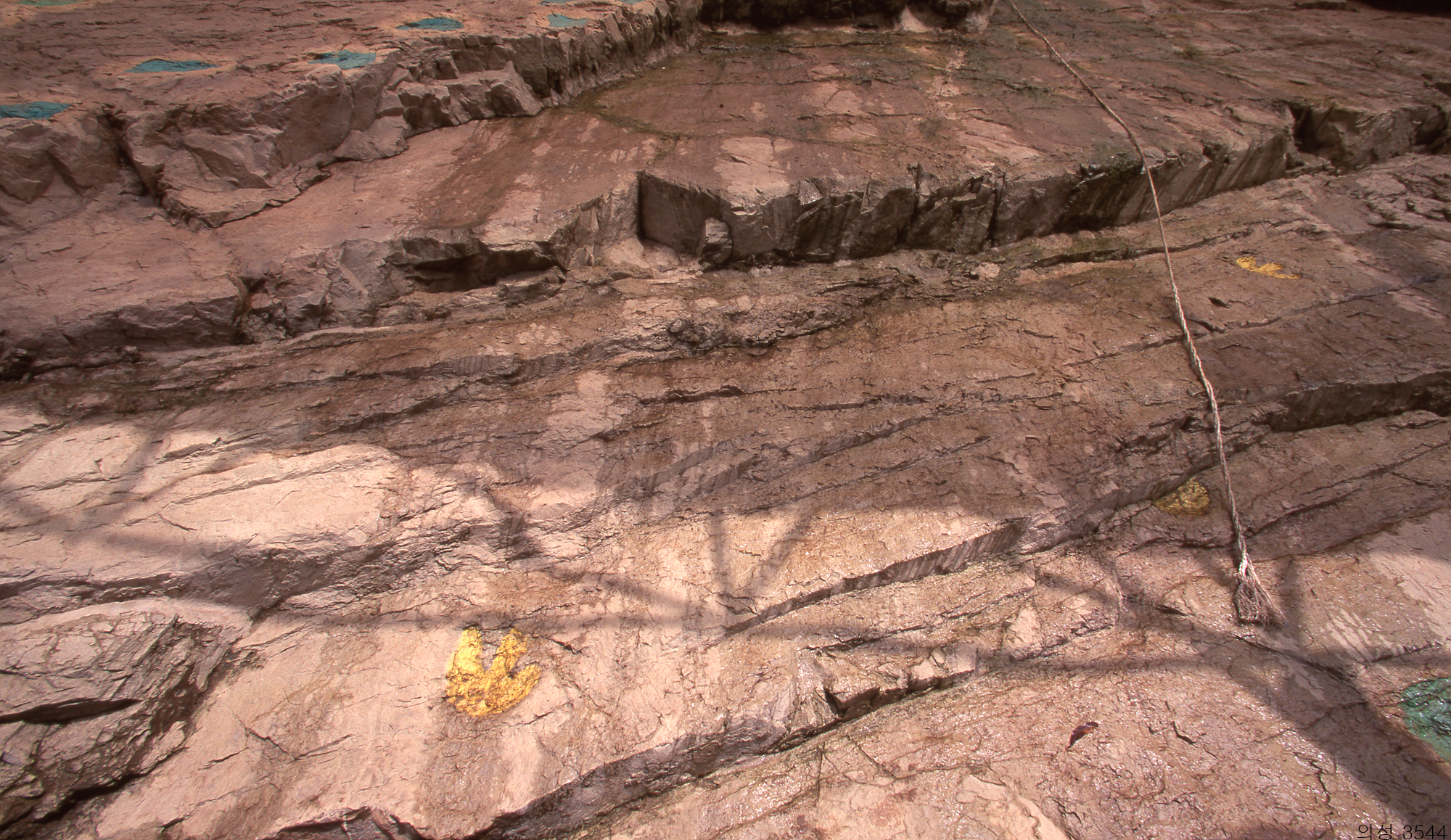 다운로드 불가 이미지