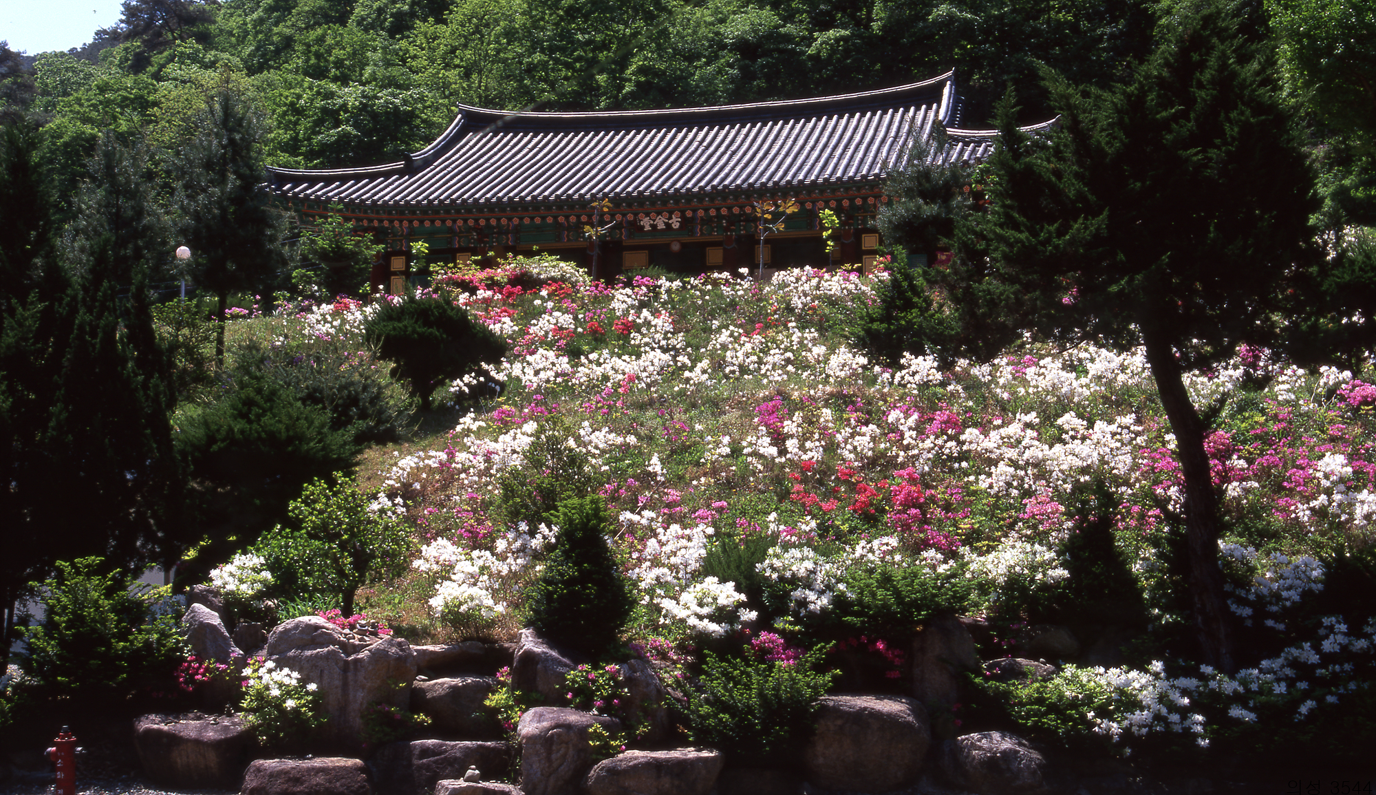 다운로드 불가 이미지