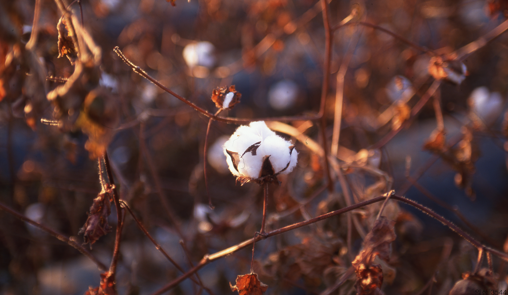 다운로드 불가 이미지