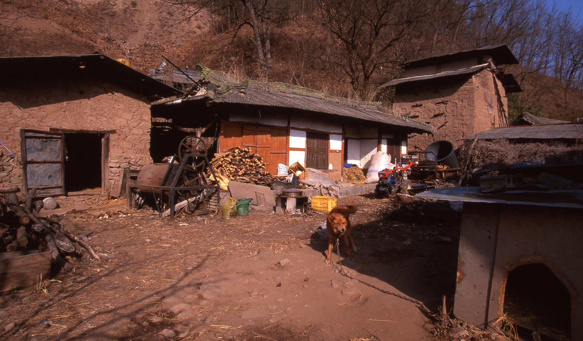 다운로드 불가 이미지