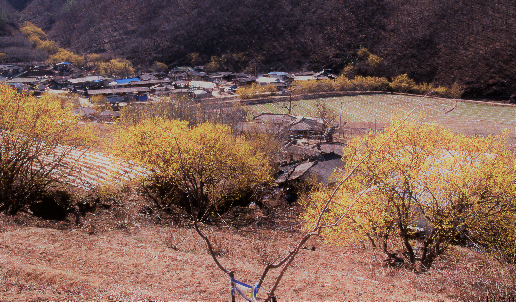 다운로드 불가 이미지