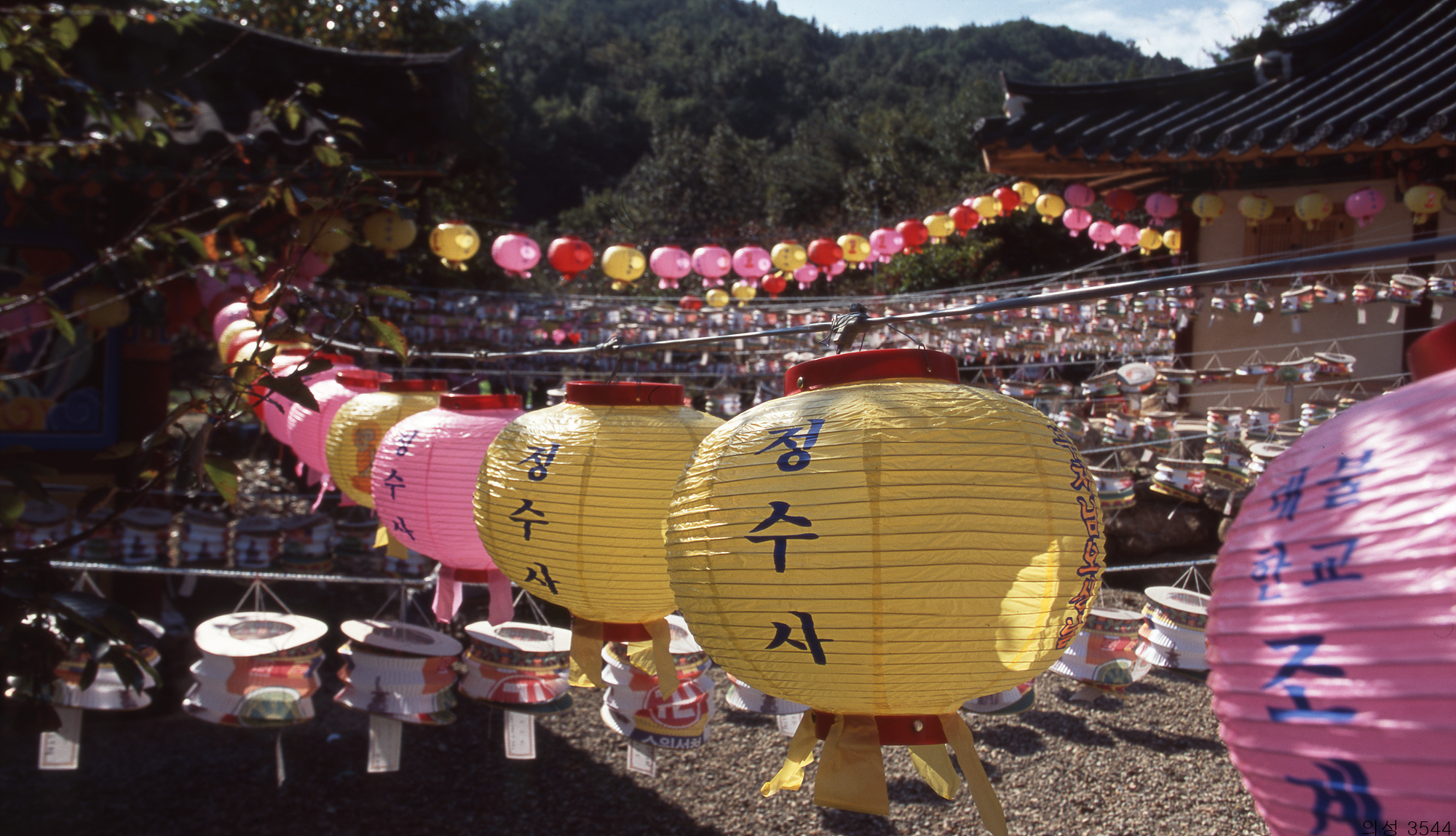 다운로드 불가 이미지