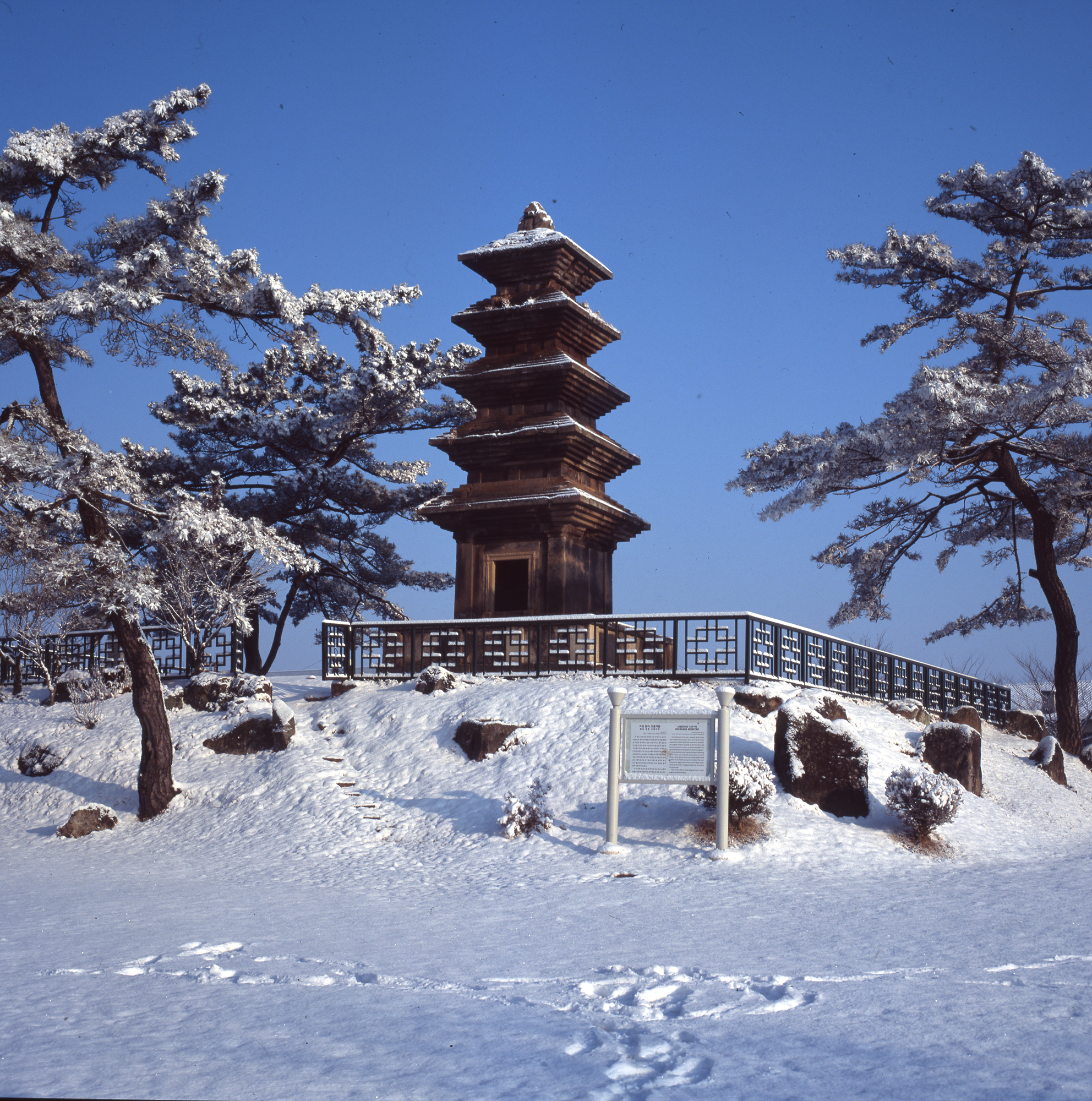 다운로드 불가 이미지