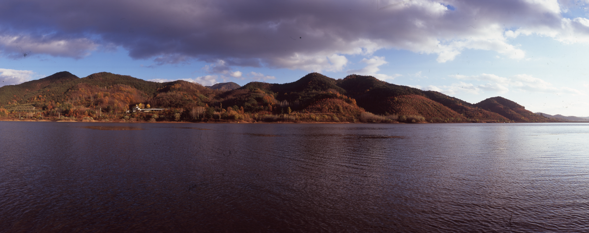 다운로드 불가 이미지