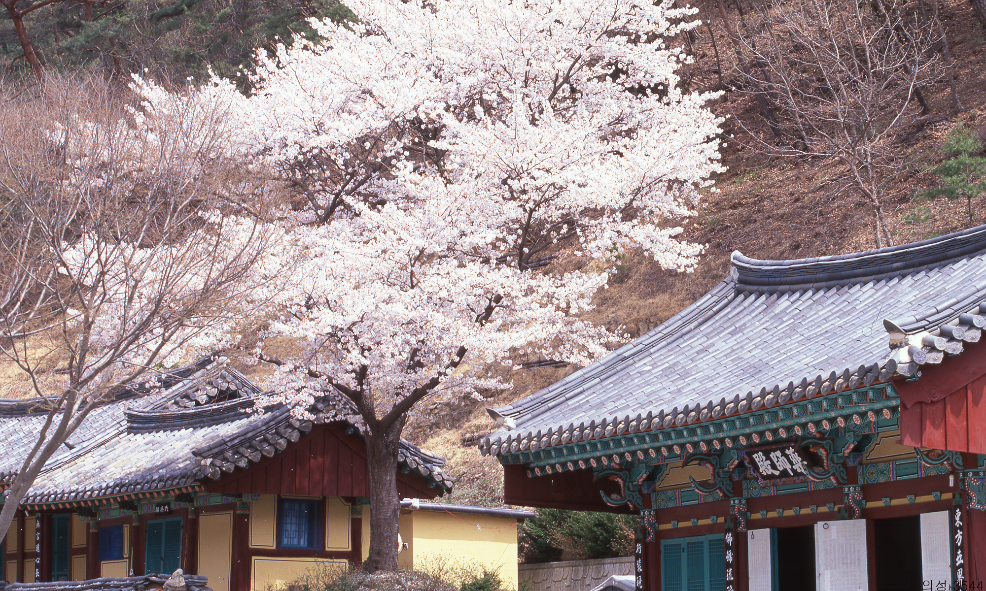 다운로드 불가 이미지