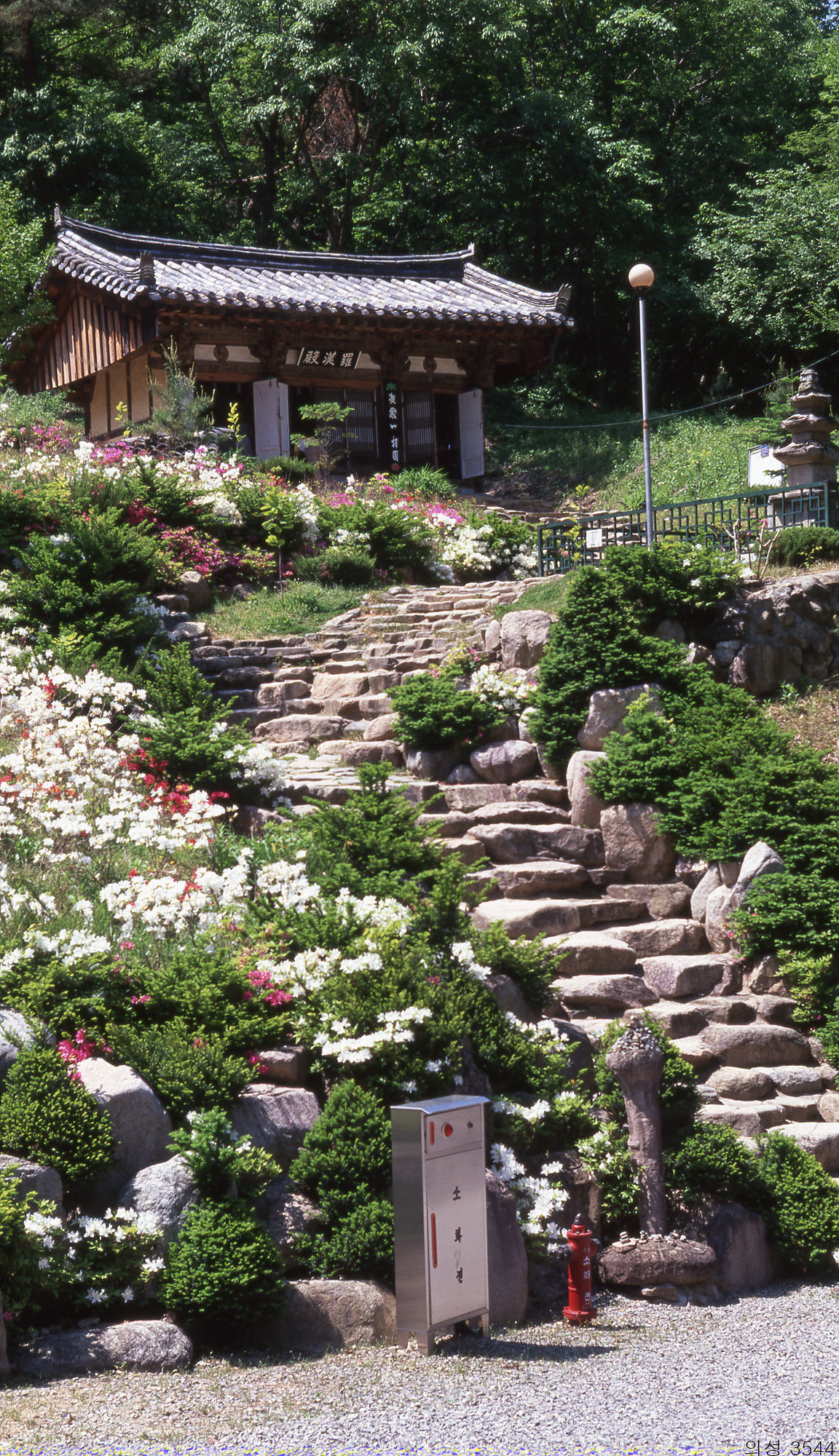 다운로드 불가 이미지