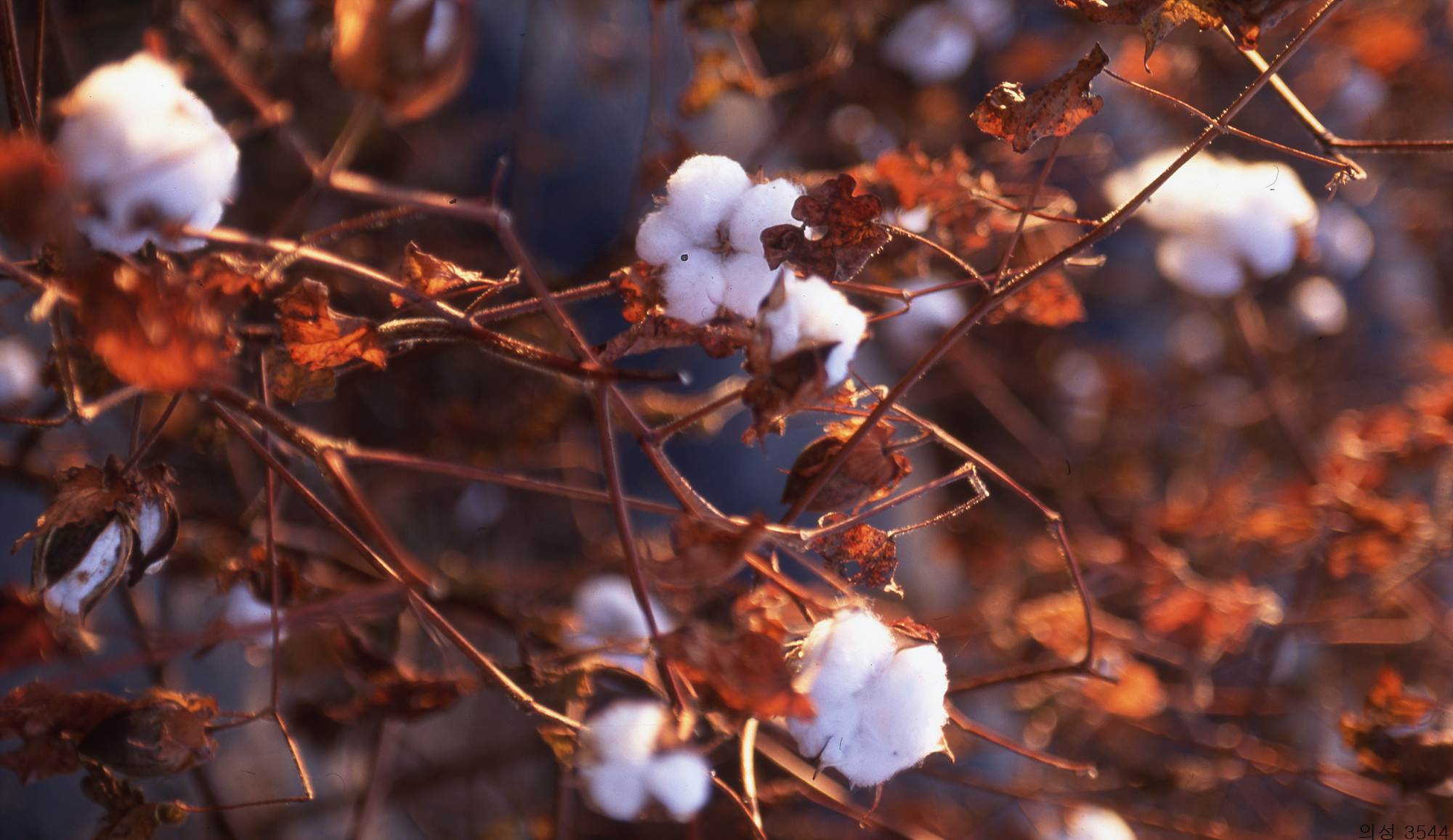 다운로드 불가 이미지