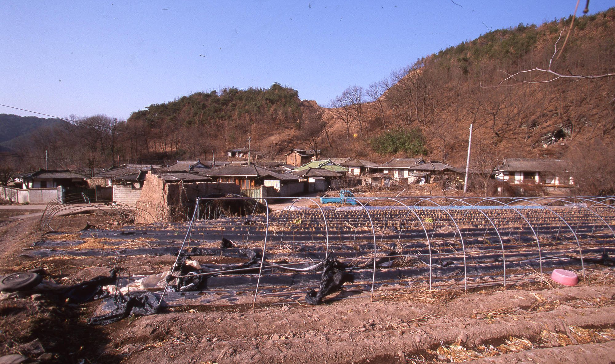 다운로드 불가 이미지