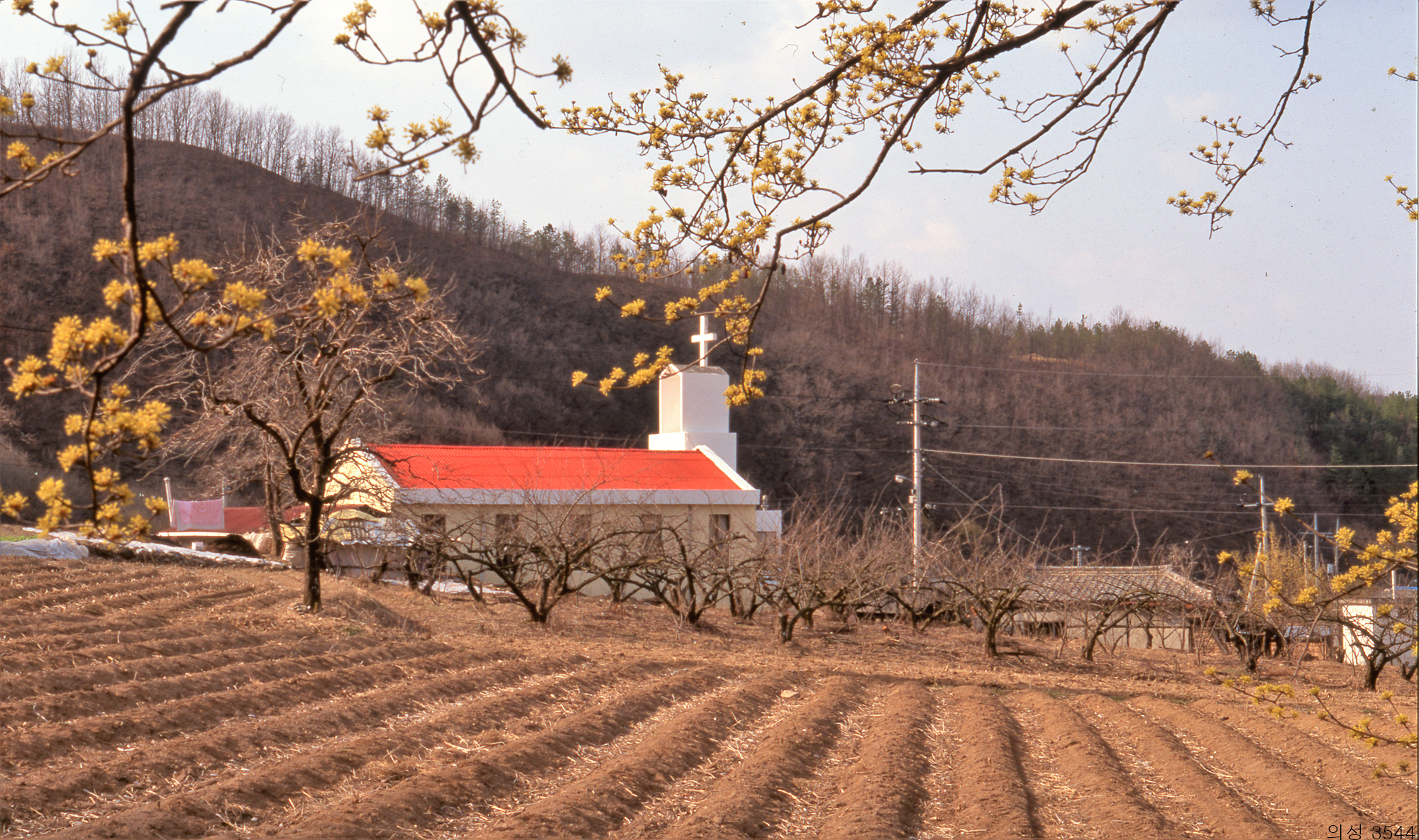 다운로드 불가 이미지