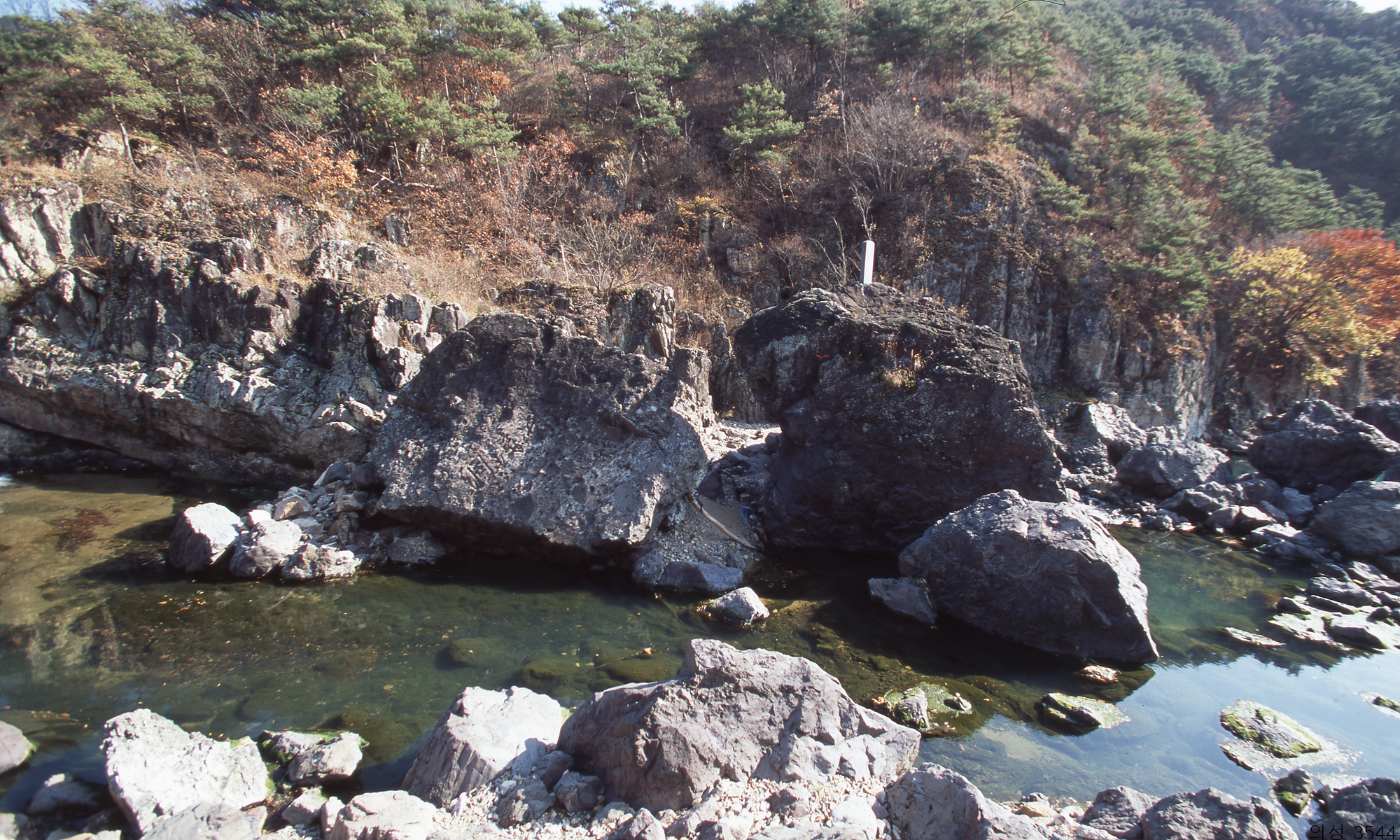 다운로드 불가 이미지