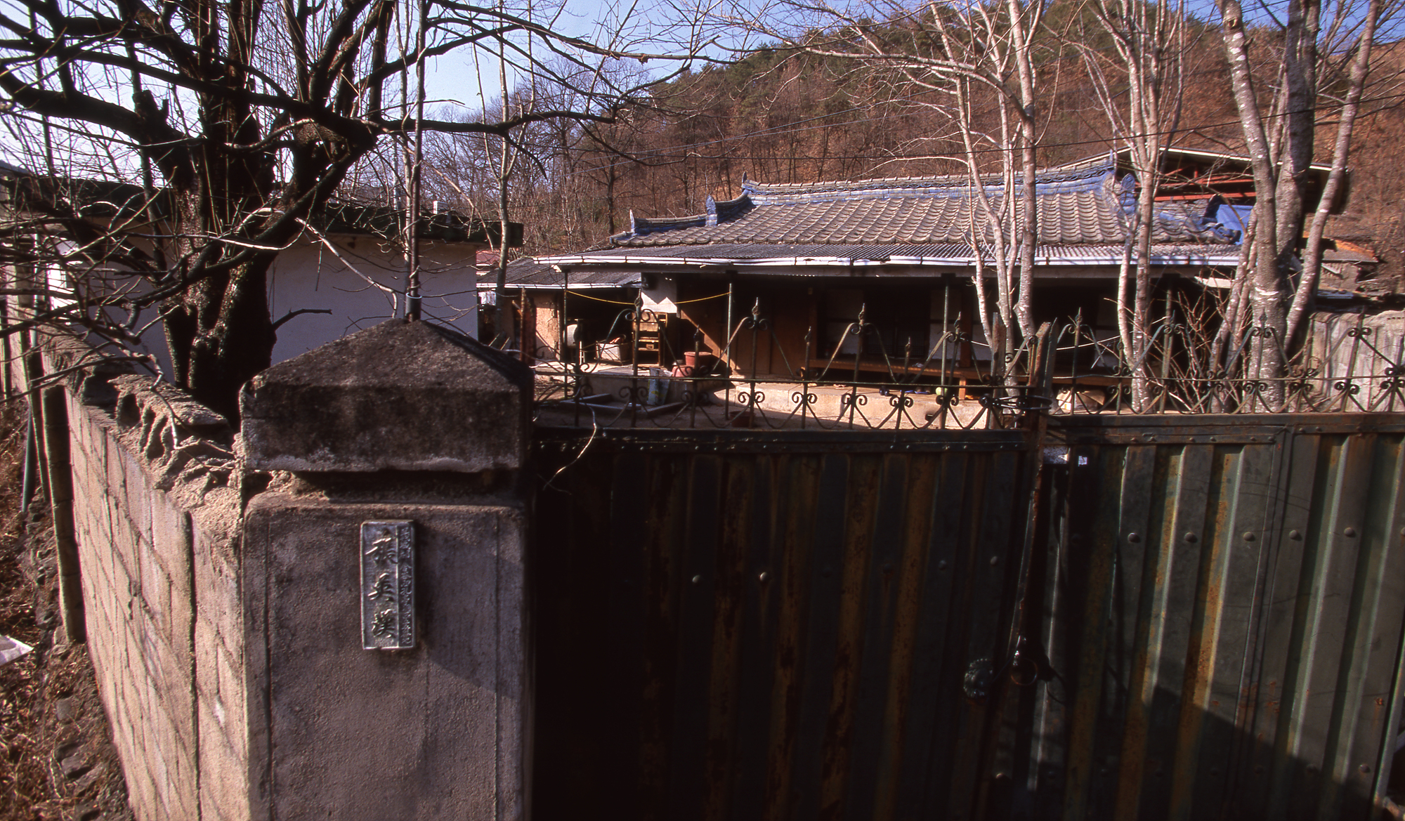 다운로드 불가 이미지